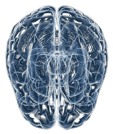 Axial brain scan